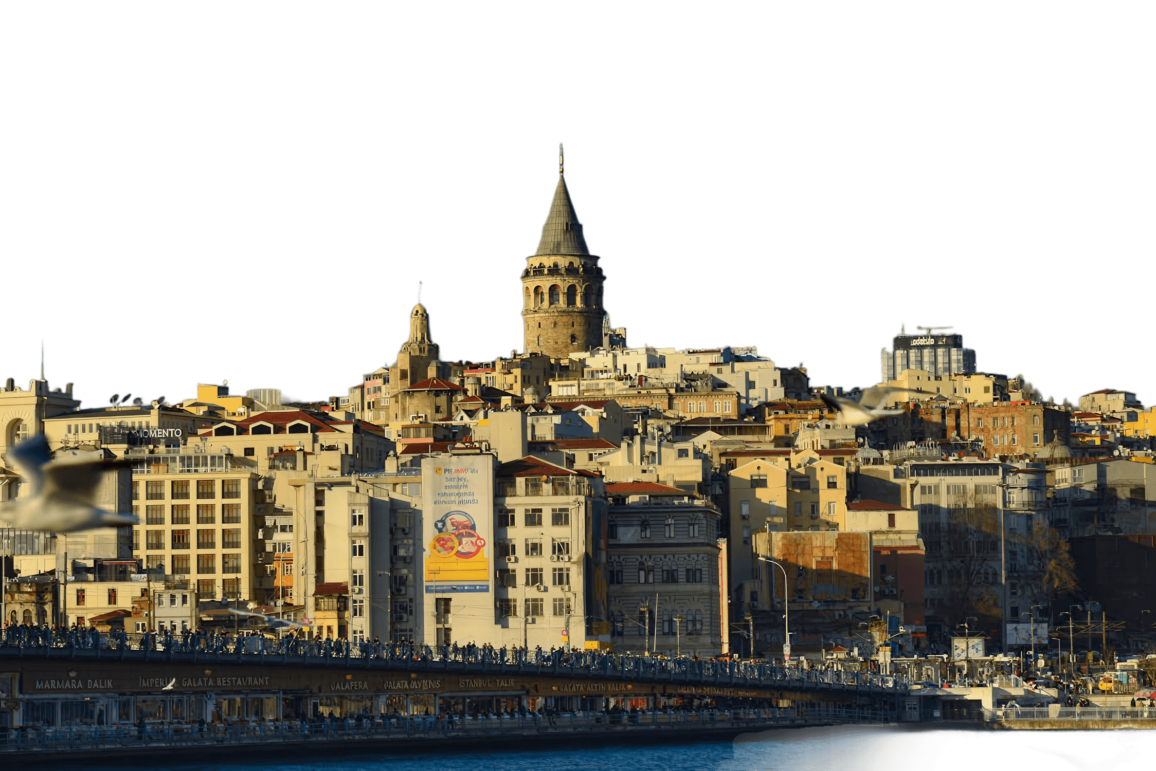 city