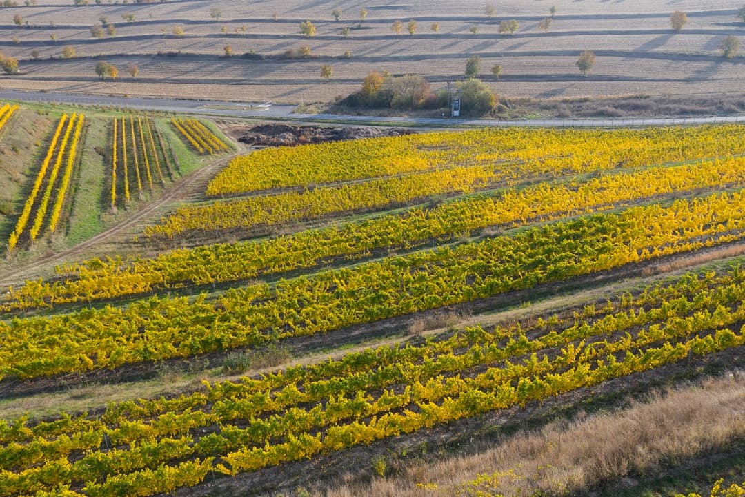 Kakheti Wine Region tour media 1