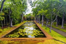 Historical North Island Discovery City Tour