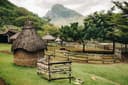 Casela Bird Park Tour