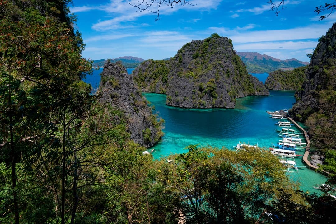 Palawan to Bohol Trails