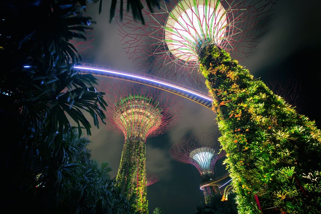 The Best of Singapore