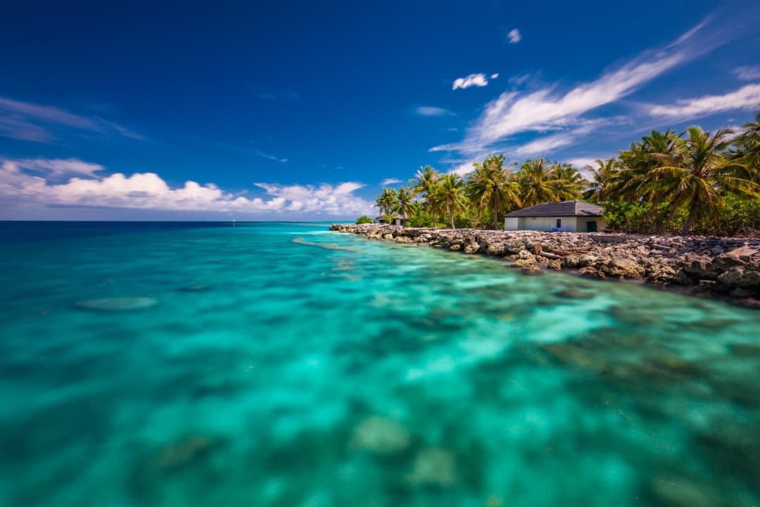 Tropical Kayak & Reef Tour