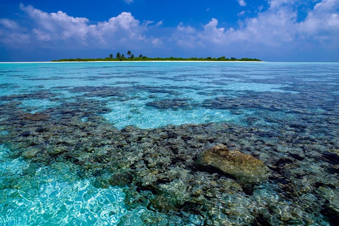 Maldives Kayak & Reef Tour