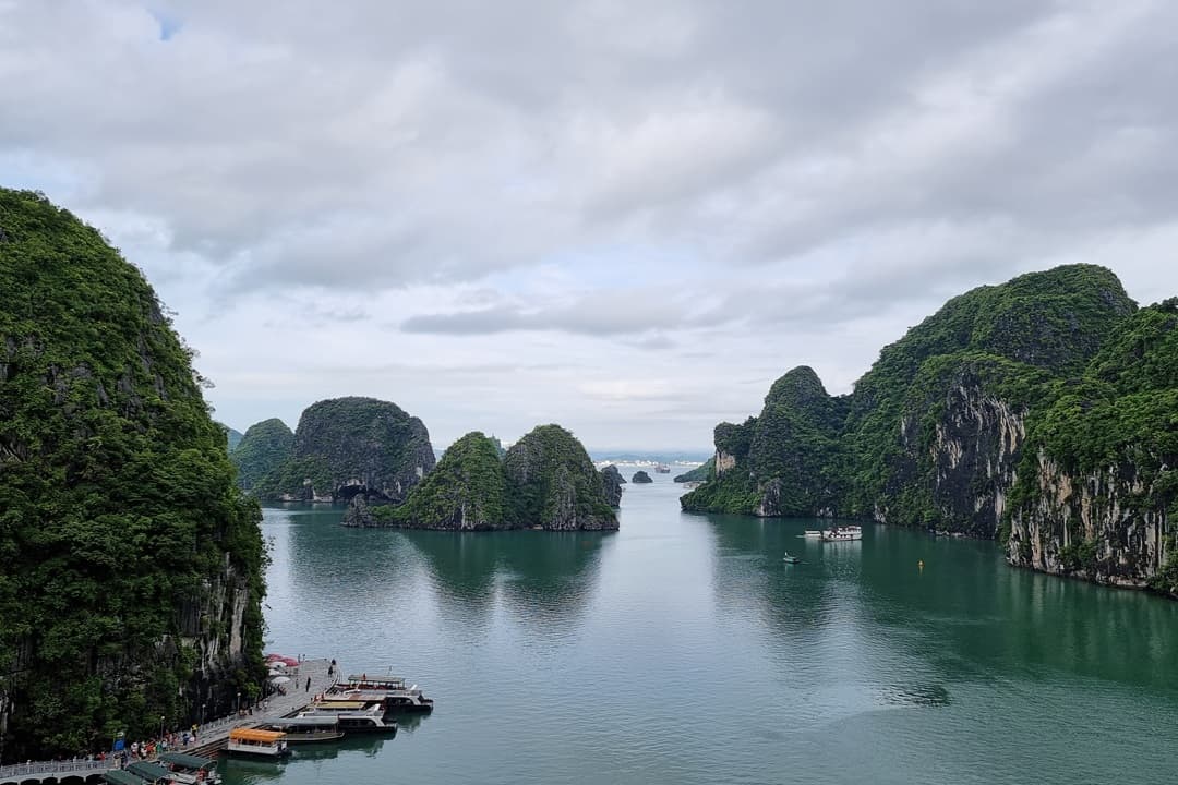 Central Vietnam with Coconut Forest