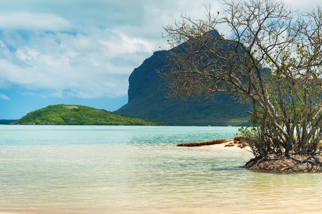 Moonlit Mauritius