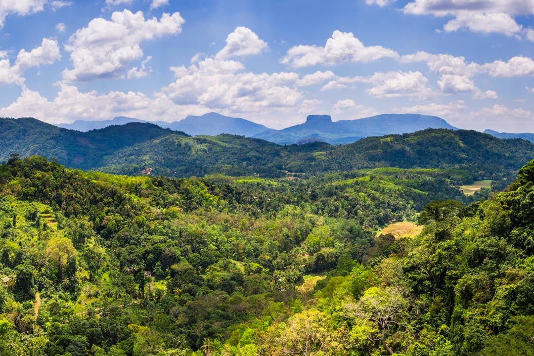 Sri Lanka Heritage & Nature Trails