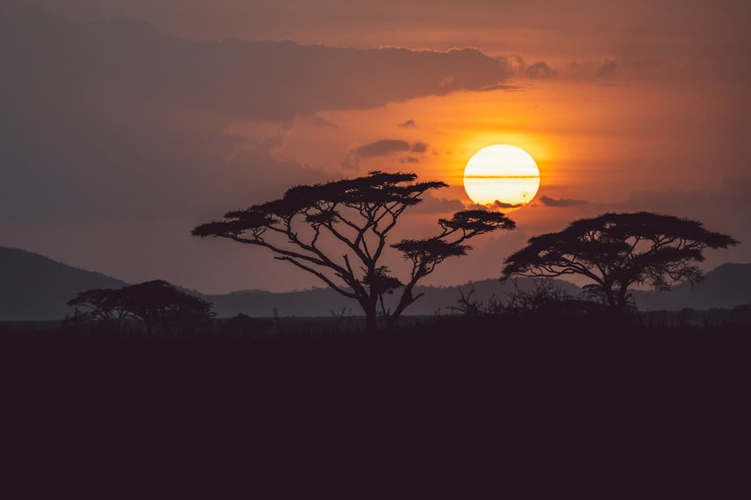 Adventures of Tanzania
