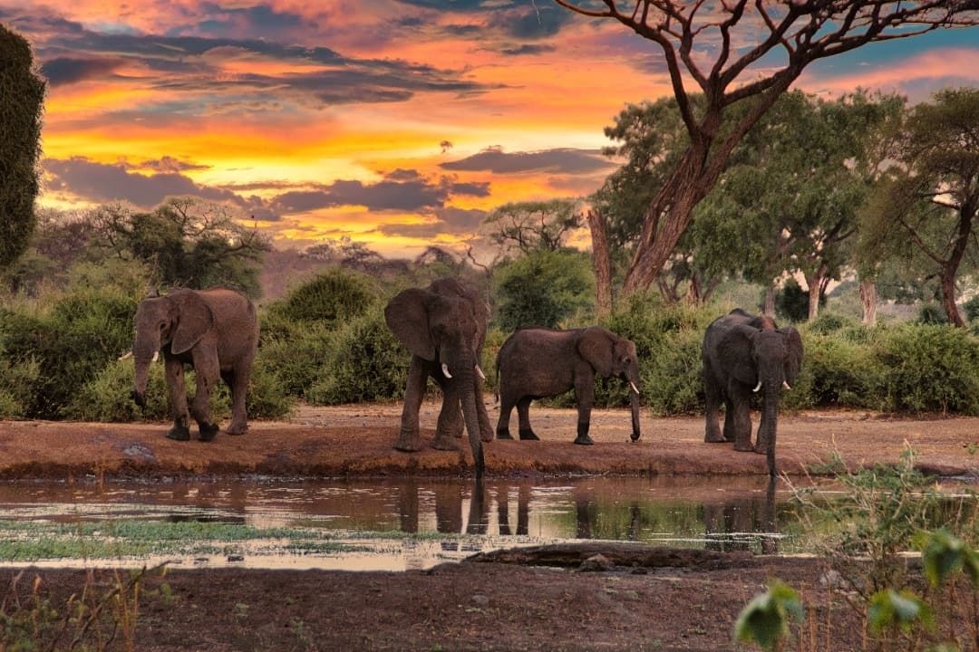 Signature South Africa Journey