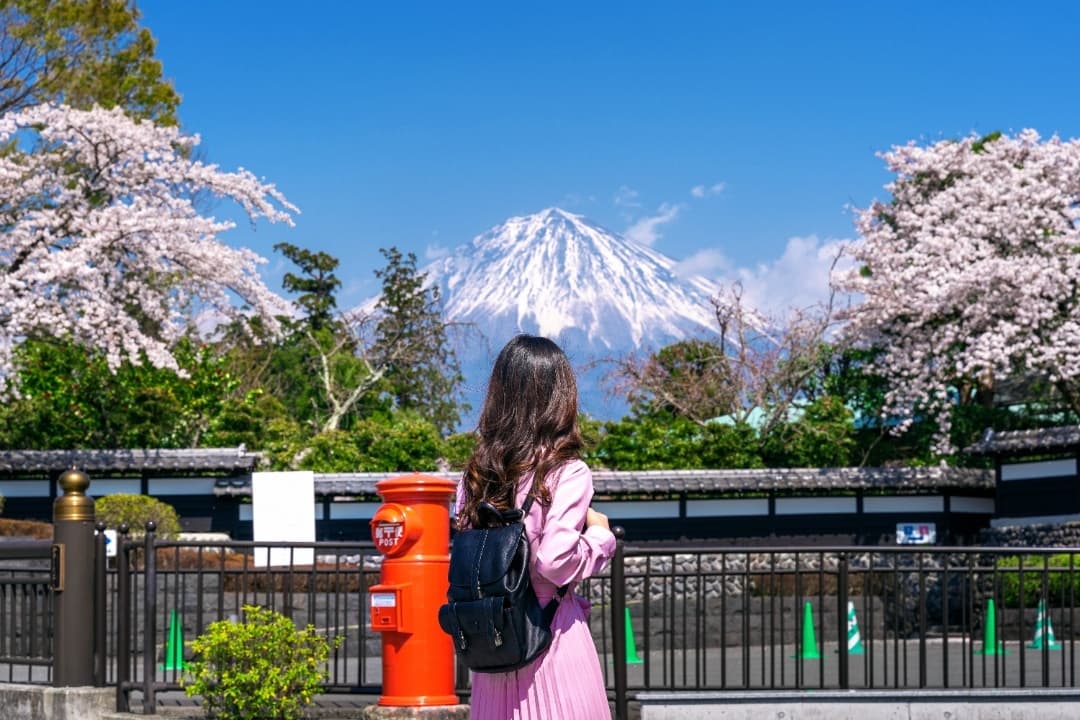 Magical Japan Experience