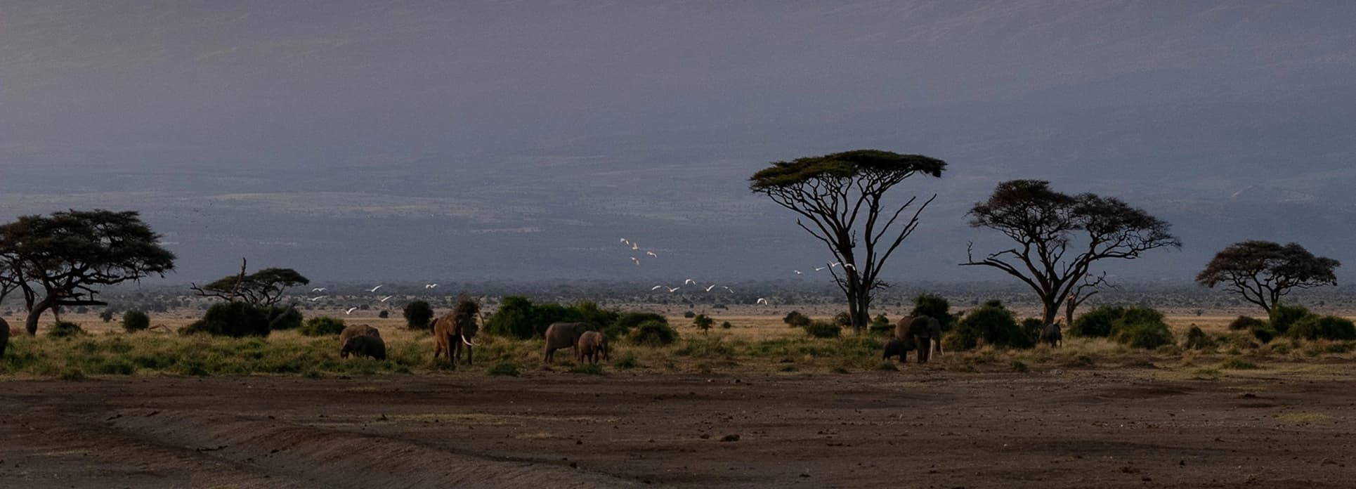 Kenya