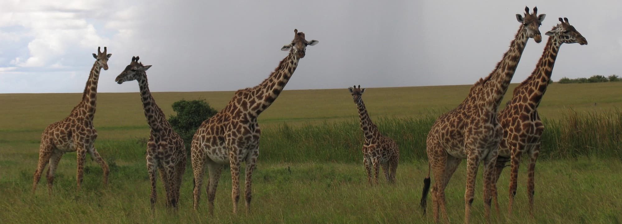 Kenya