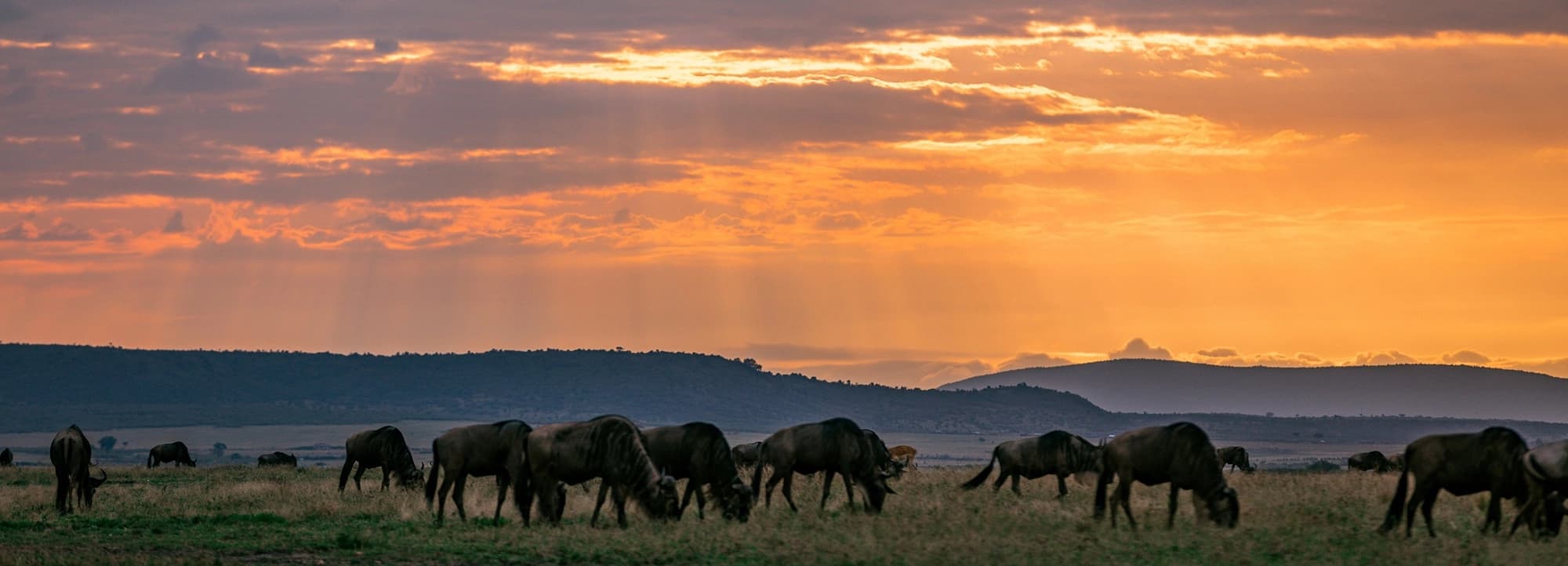 Kenya