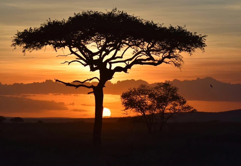Tanzania