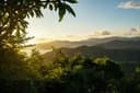 Full Day Krabi Jungle Tour