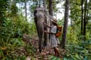 Elephant Jungle Sanctuary Exploration