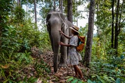 Elephant Jungle Sanctuary Exploration