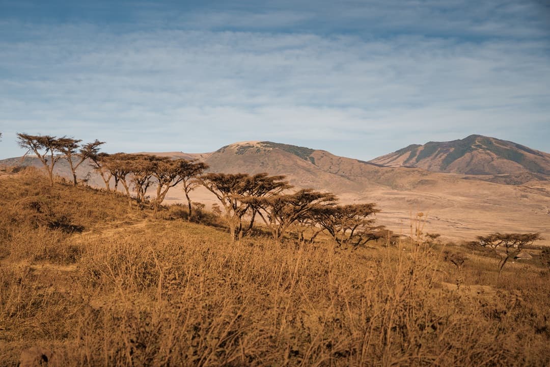 Ngorongoro Crater Half day game drive media 1