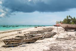 Dolphin tour, Jozani Forest, Jambiani Kuza Cave, Paje Beach &The Rock restaurent Tour
