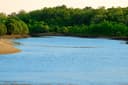 Mangrove and Cave exploring