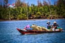 Mekong delta Tour