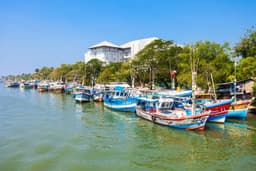 Bentota to Negombo with visit to the city by The Lagoon
