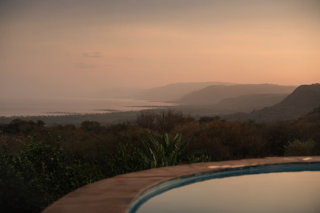 Lake Manyara Full Day Tour media 1