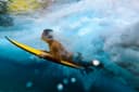 Water Sports Activities