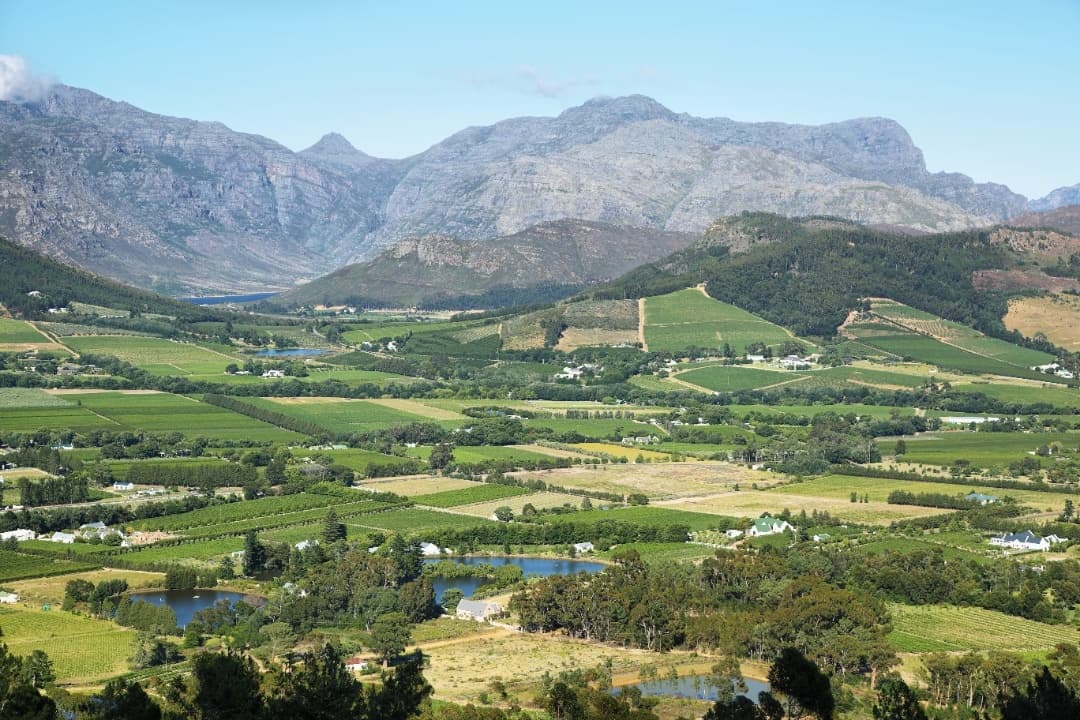 Shared Franschoek Winetram and Stellenbosch tour media 1