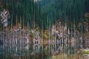 Kolsai lake And Kaindy lake with overnight stay in Saty Village