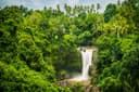 Tegenungan waterfall & Coffee plantation tour from Kuta