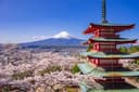 Mt Fuji & Hakone Day Tour