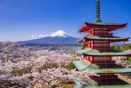 Mt Fuji & Hakone Day Tour