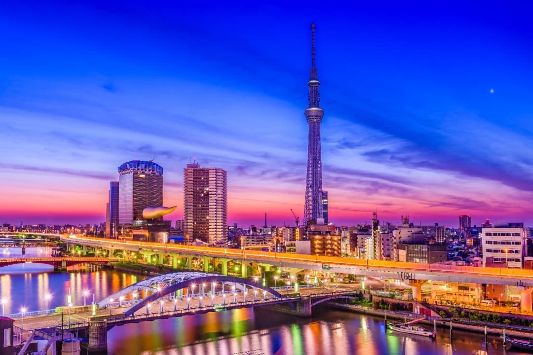 Tokyo City Tour media 1
