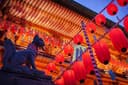 Nara, Fushimi Inari Taisha & Arashiyama Tour