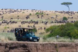 Full Day Game Drive