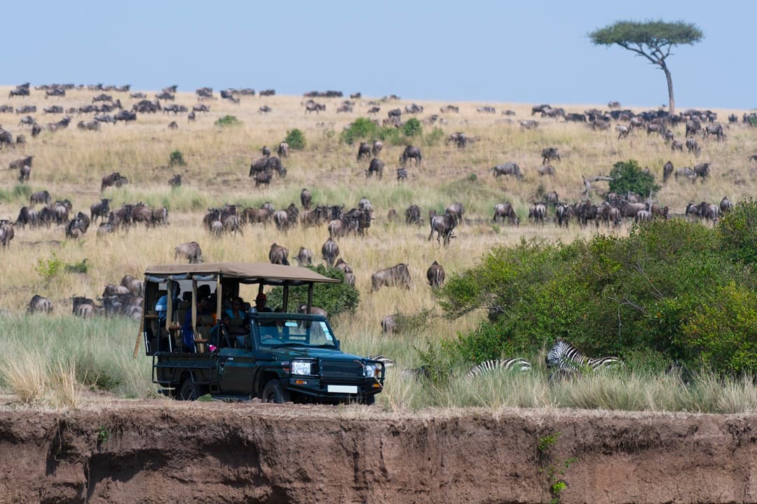 Full Day Game Drive media 1