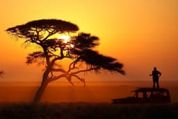 Afternoon Game Drive