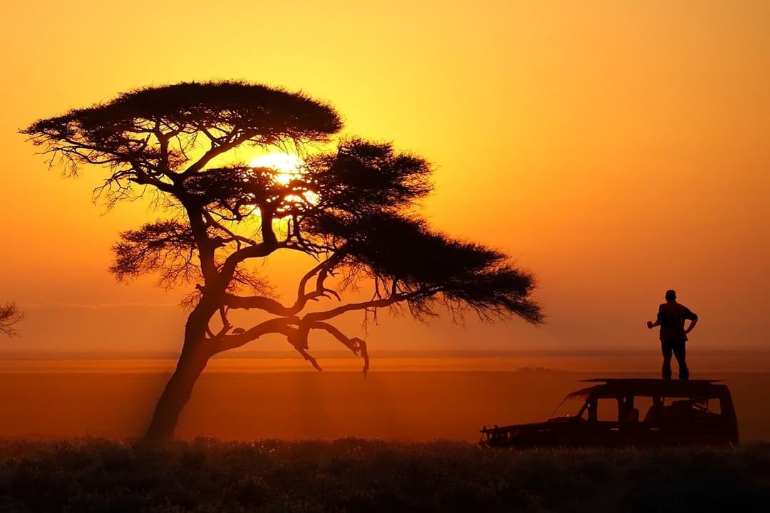 Afternoon Game Drive media 1