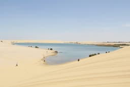 Faiyum Oasis