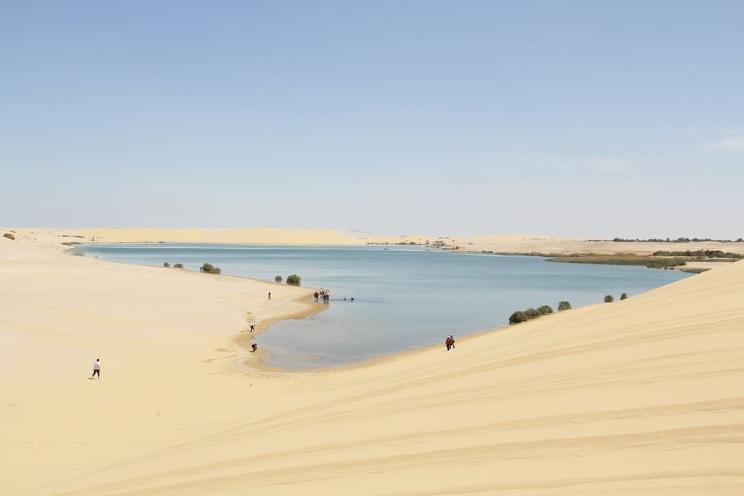 Faiyum Oasis media 1