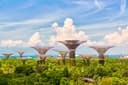 Gardens By The Bay