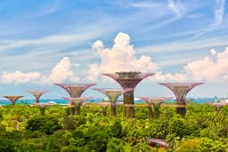 Gardens By The Bay