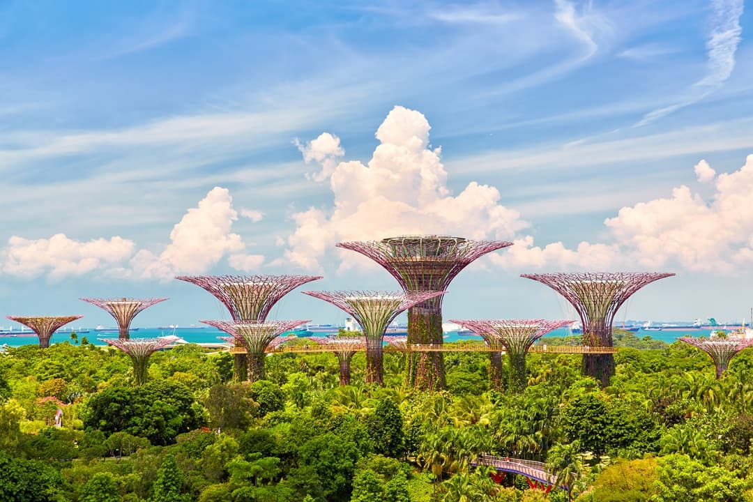 Gardens By The Bay media 1