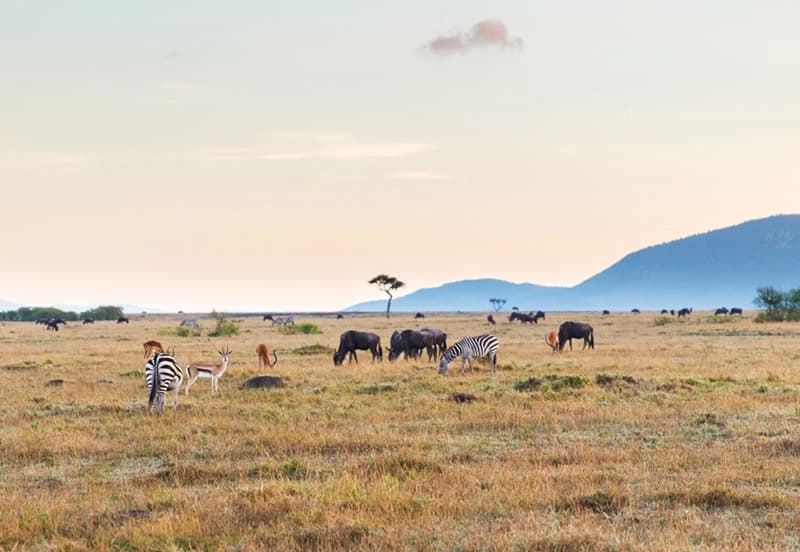 https://lykke-public-assets.s3.amazonaws.com/media/images/destination/2/kenya-card-11.webp