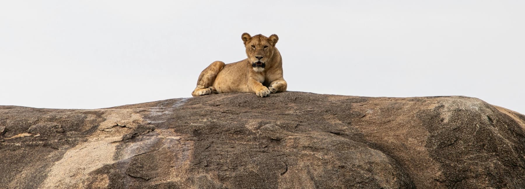 Tanzania